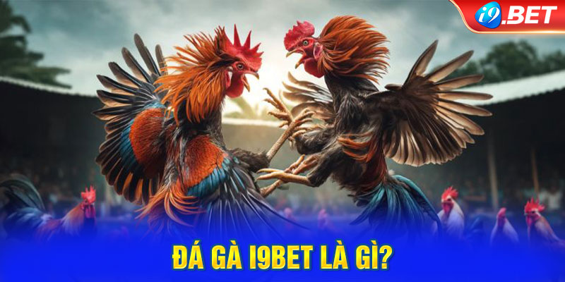 Đá gà i9BET hướng đến quyền lợi của mọi thành viên